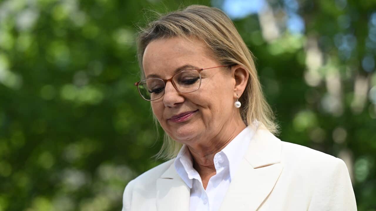 LIBERAL LEADERSHIP SPILL