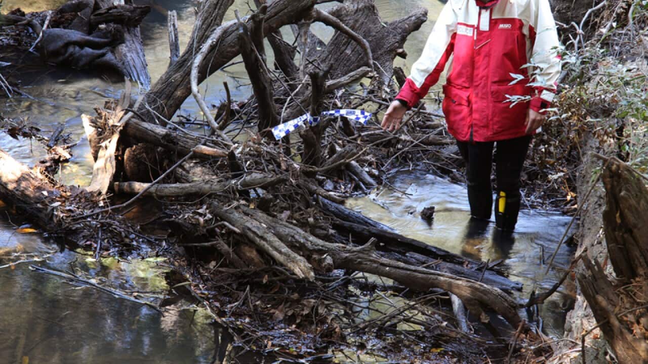 An area where evidence linked to Daniel Morcombe was found