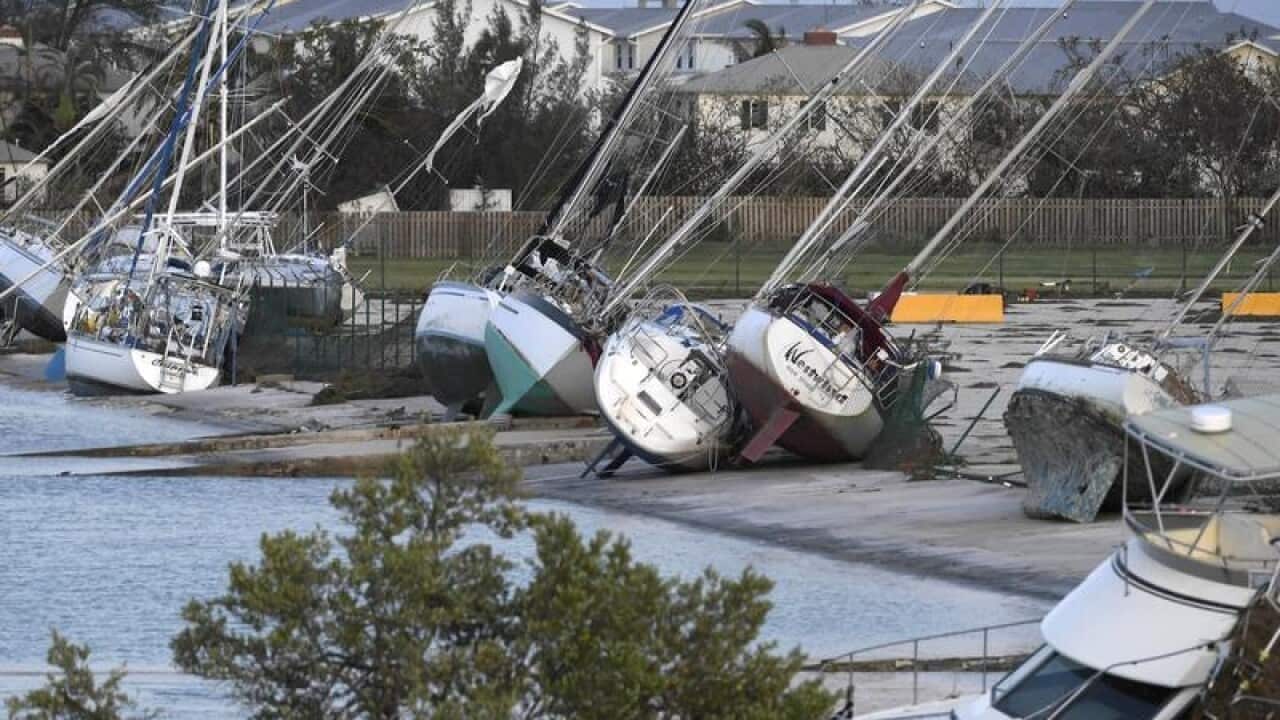 Image for read more article 'RELATED READING'