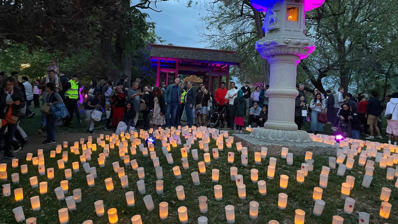 Canberra Nara Festival.jpeg