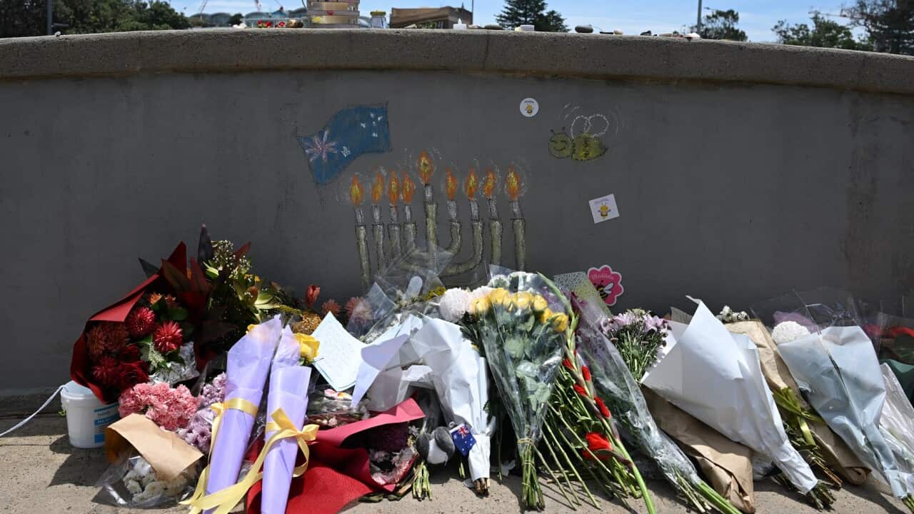 BONDI BEACH SHOOTING