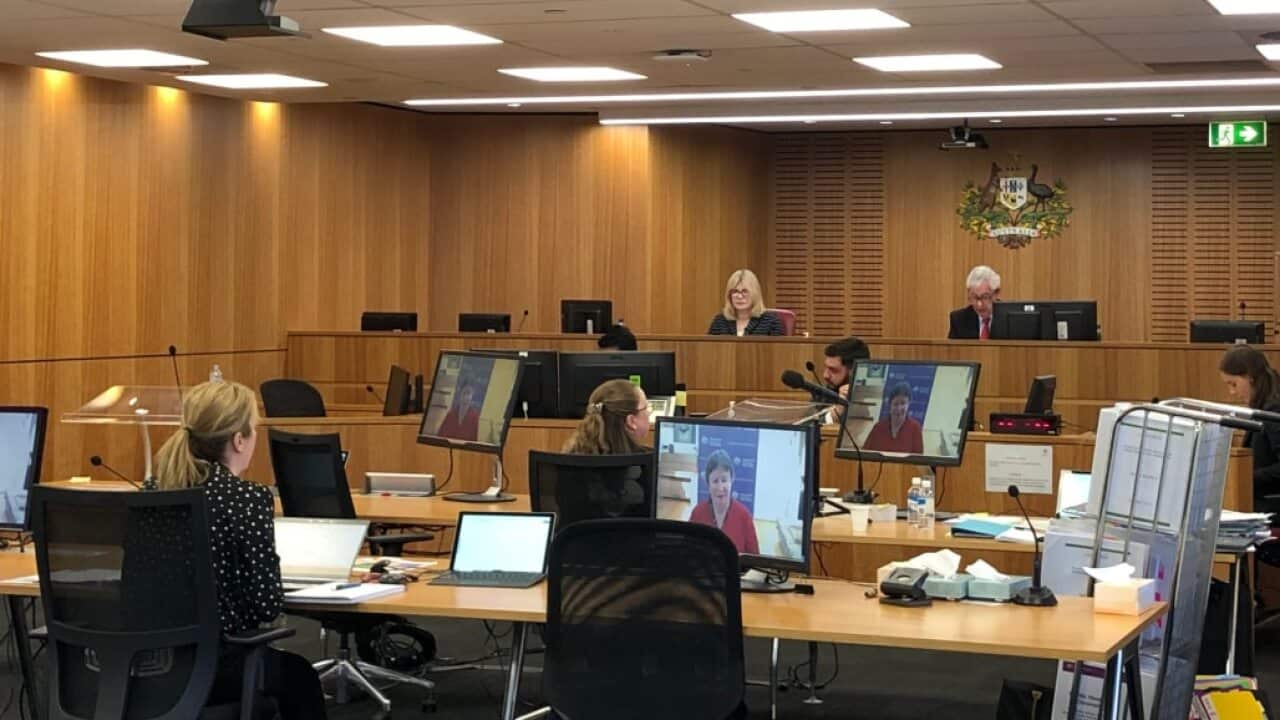 A screenshot from the official Disability Royal Commission livestream