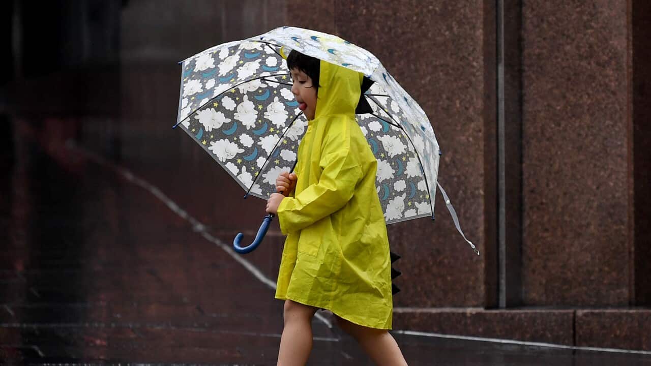 SYDNEY WET WEATHER
