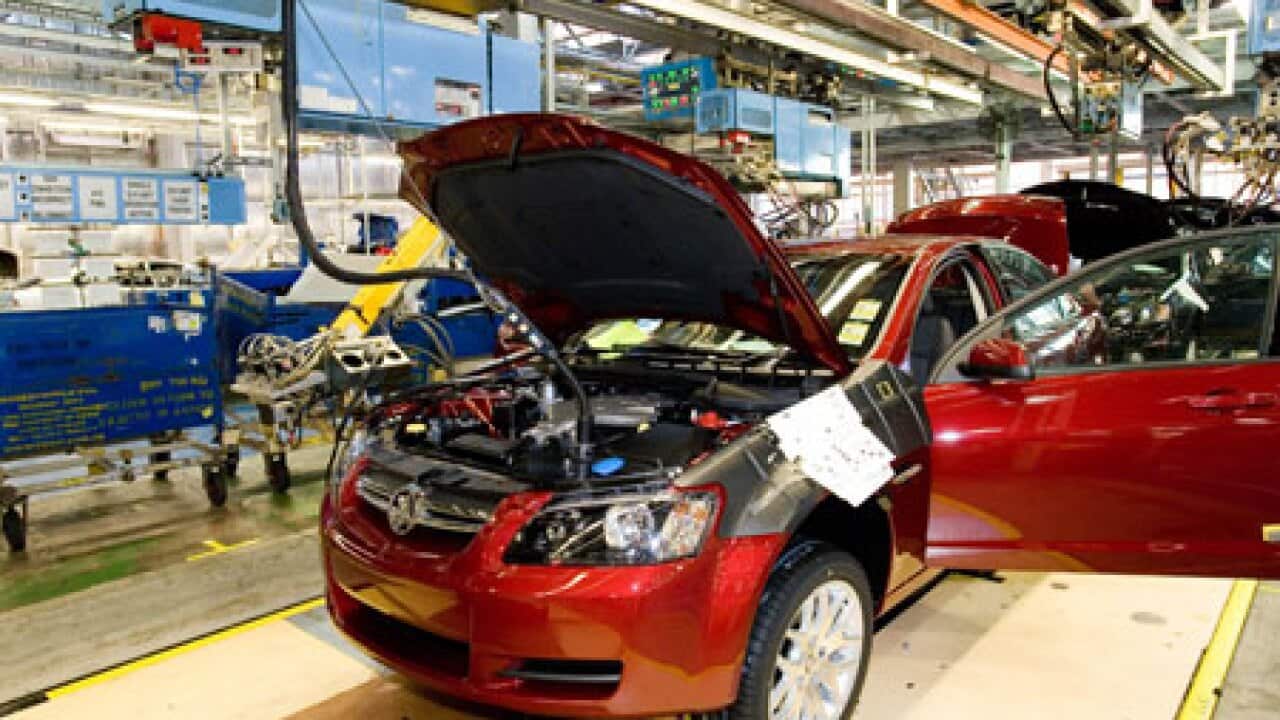 Holden_plant_B_1110_aap_559150174