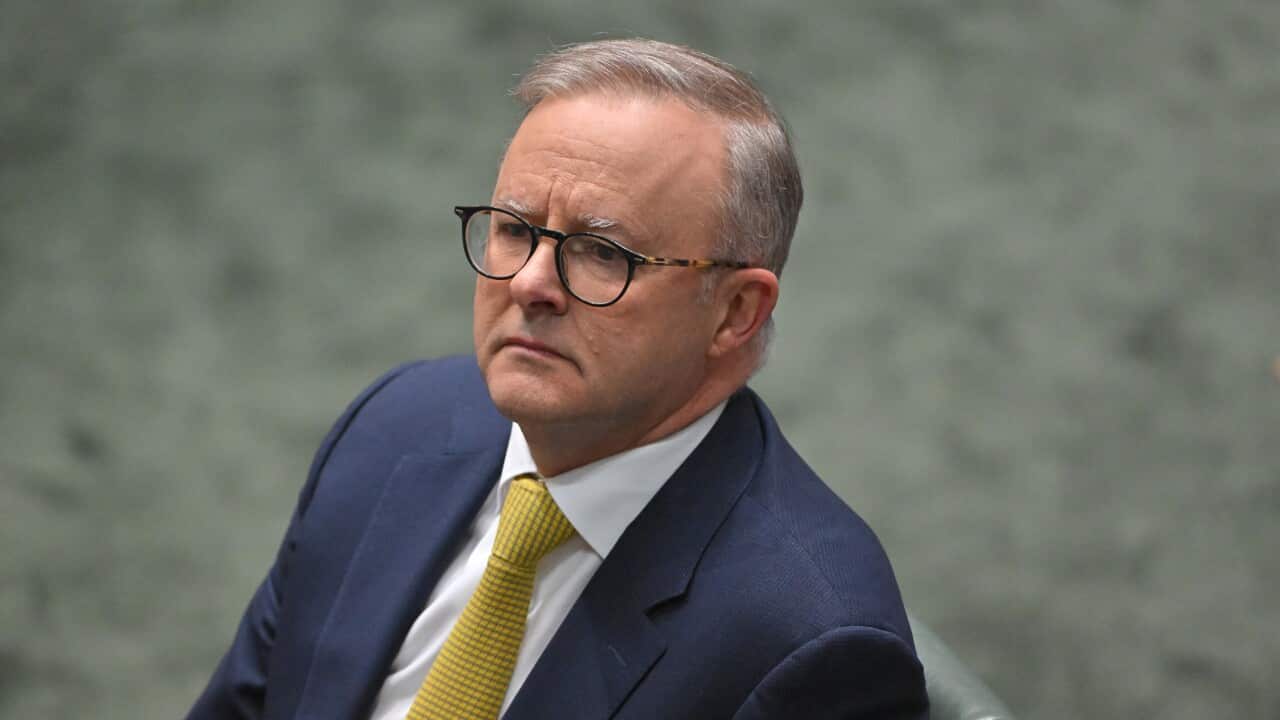 Prime Minister Anthony Albanese during Question Time at Parliament House in Canberra