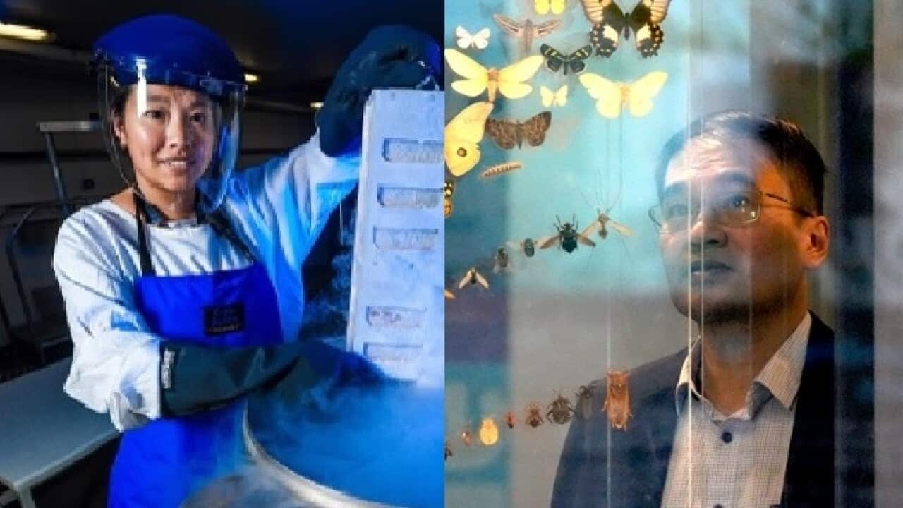 Eureka2023 main photo.jpg