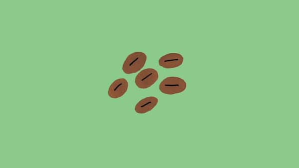 Should You Really Eat That Episode 4 Coffee image