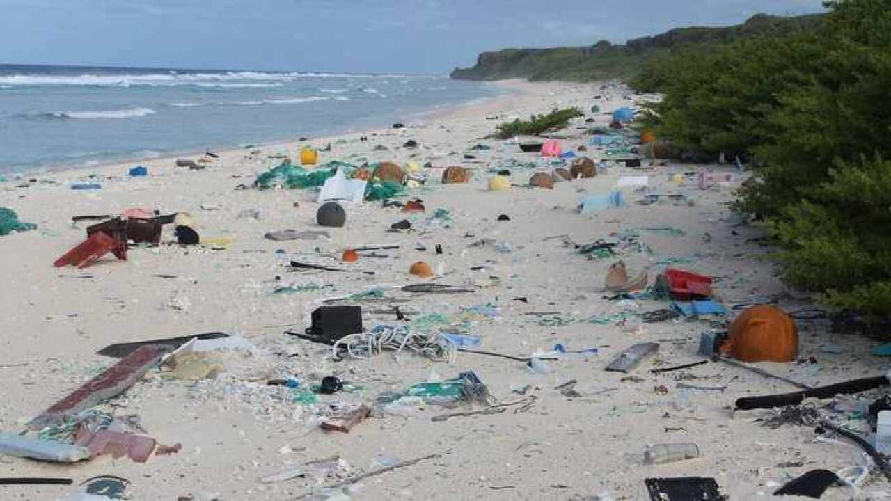 Henderson Island in the south Pacific Ocean