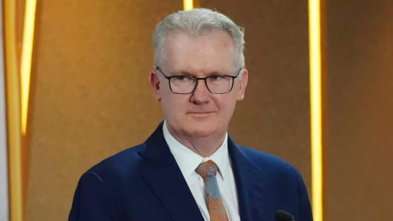 Home Affairs Minister Tony Burke Source: AAP / Tatan Syuflana/AP