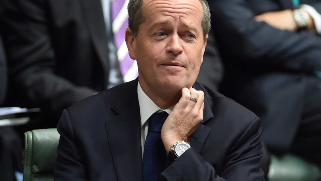 Leader of the Opposition Bill Shorten