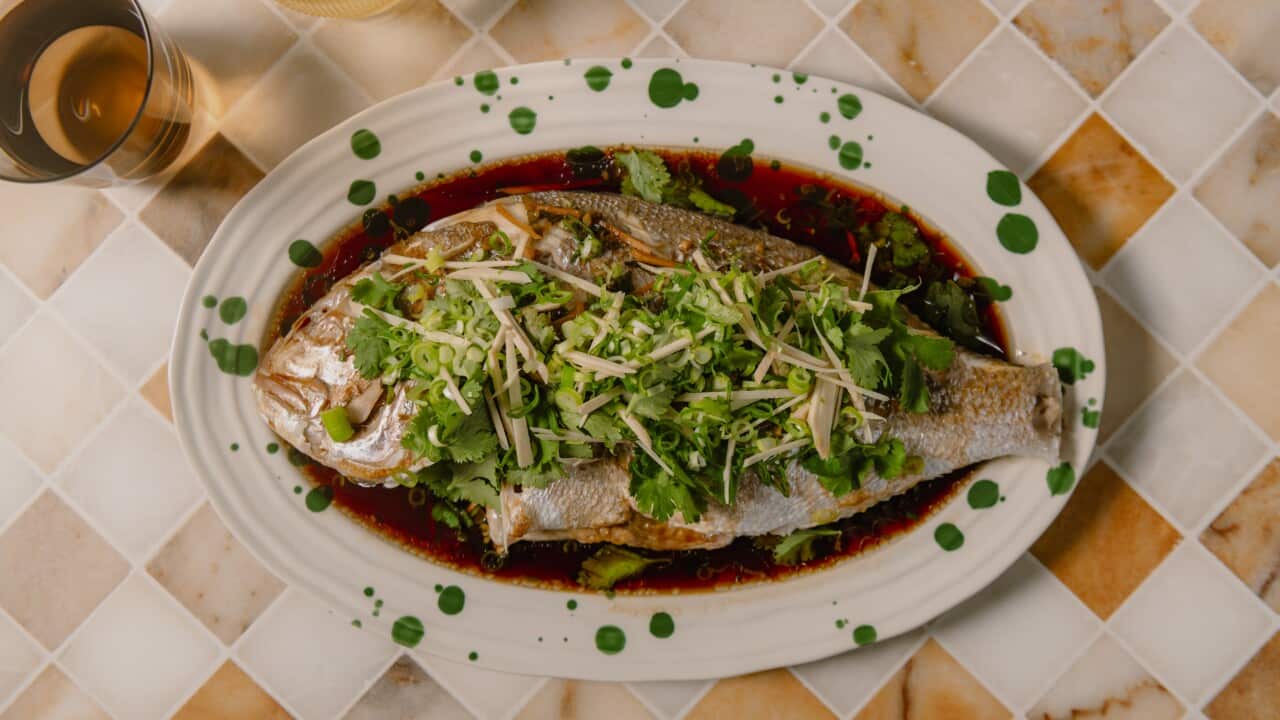 Cantonese steamed fish with ginger shallot sauce