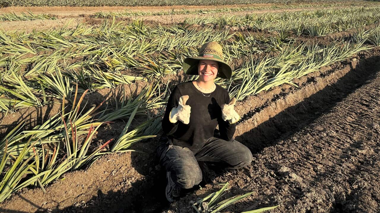 Kia Farm edit.jpeg