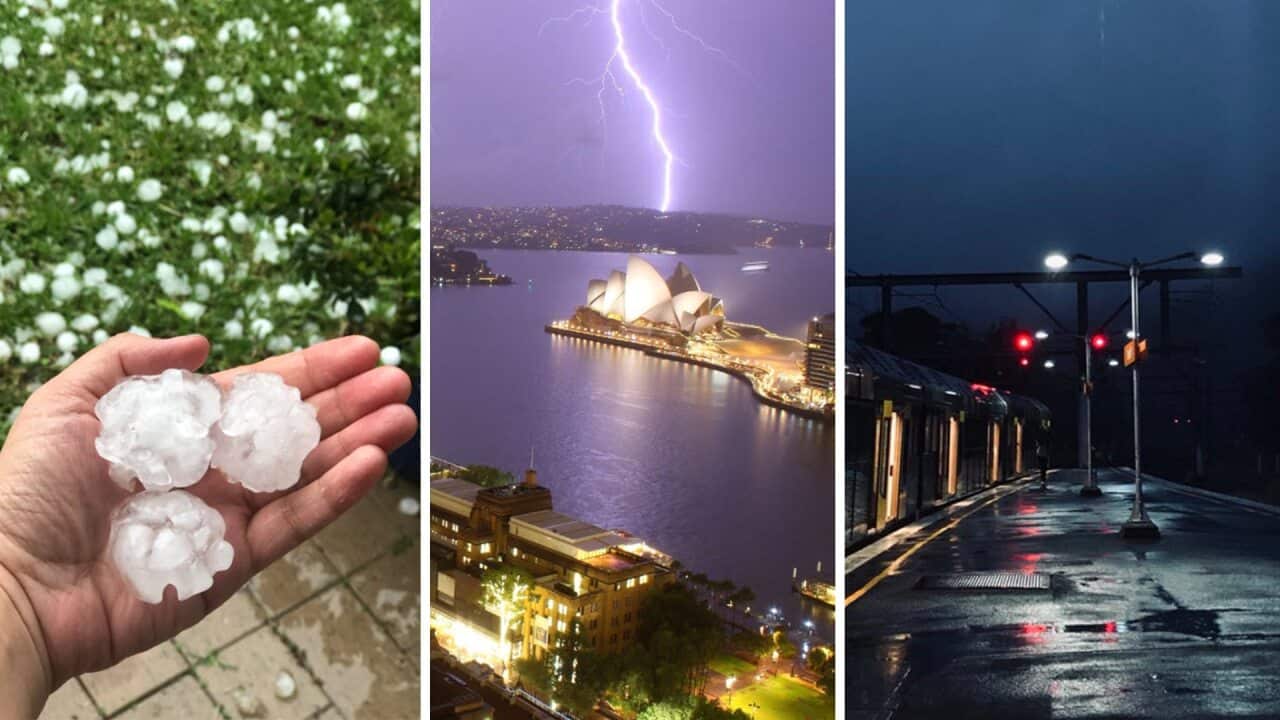 A series of thunderstorm cells lashed Sydney last night.