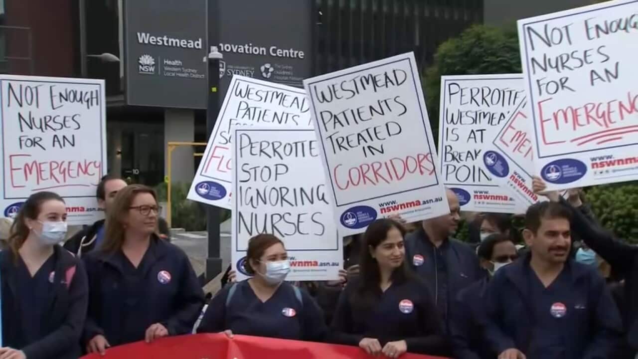 NSW nurses and midwives strike for third time this year | SBS News