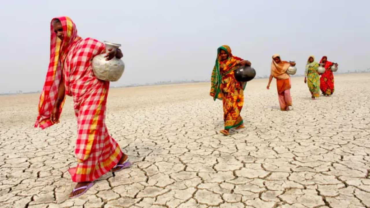 questioni di genere nell'UNFCCC.png