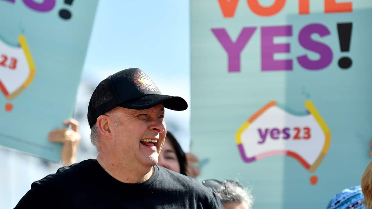 ANTHONY ALBANESE RUN FOR THE YES