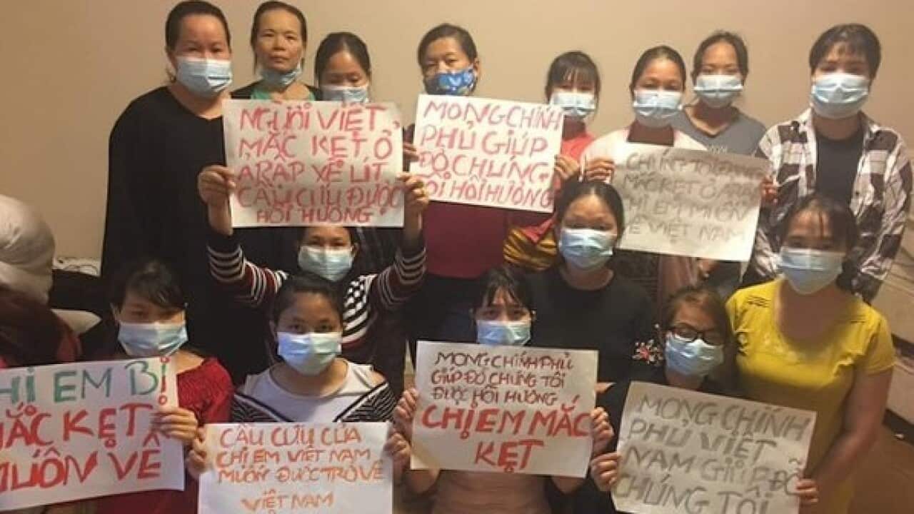 Vietnamese labors in Saudi Arabia called for help