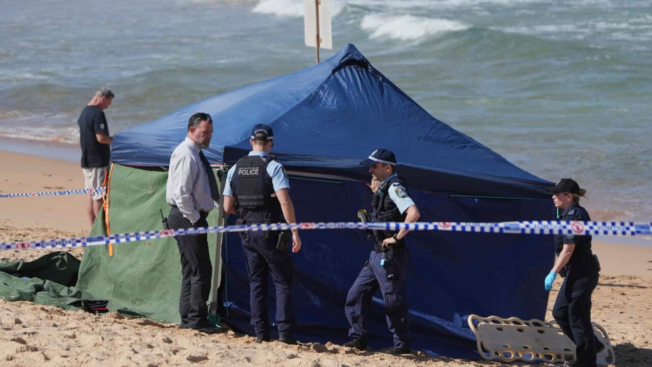 Australia Shark Attack