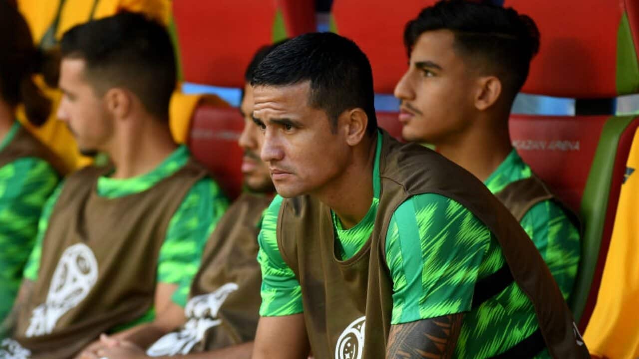 Tim Cahill