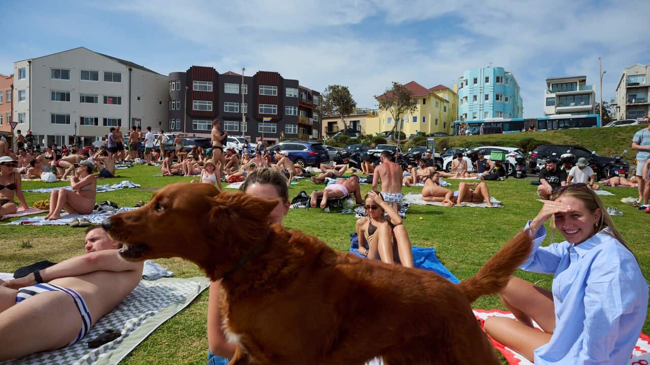 Beachgoers are seen at Bondi Beach in Sydney
