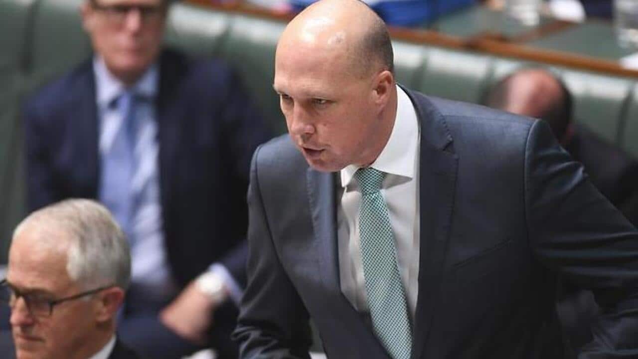 Peter Dutton
