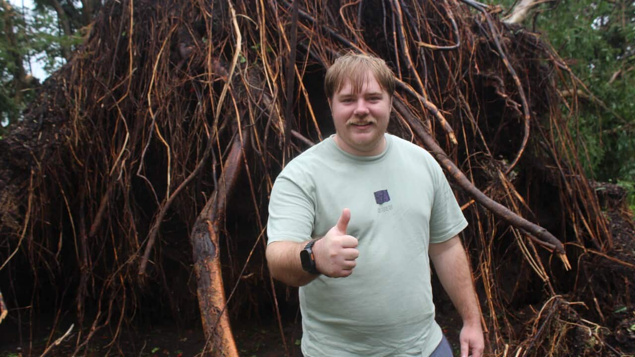 TROPICAL CYCLONE FINA