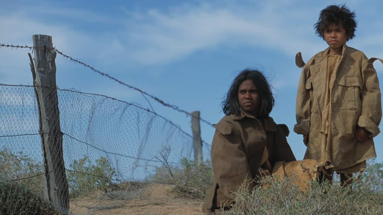 Điểm phim tháng Sáu: Chuyện phim Thổ dân Úc: Hàng rào chặn thỏ - Rabbit  Proof Fence | SBS Vietnamese