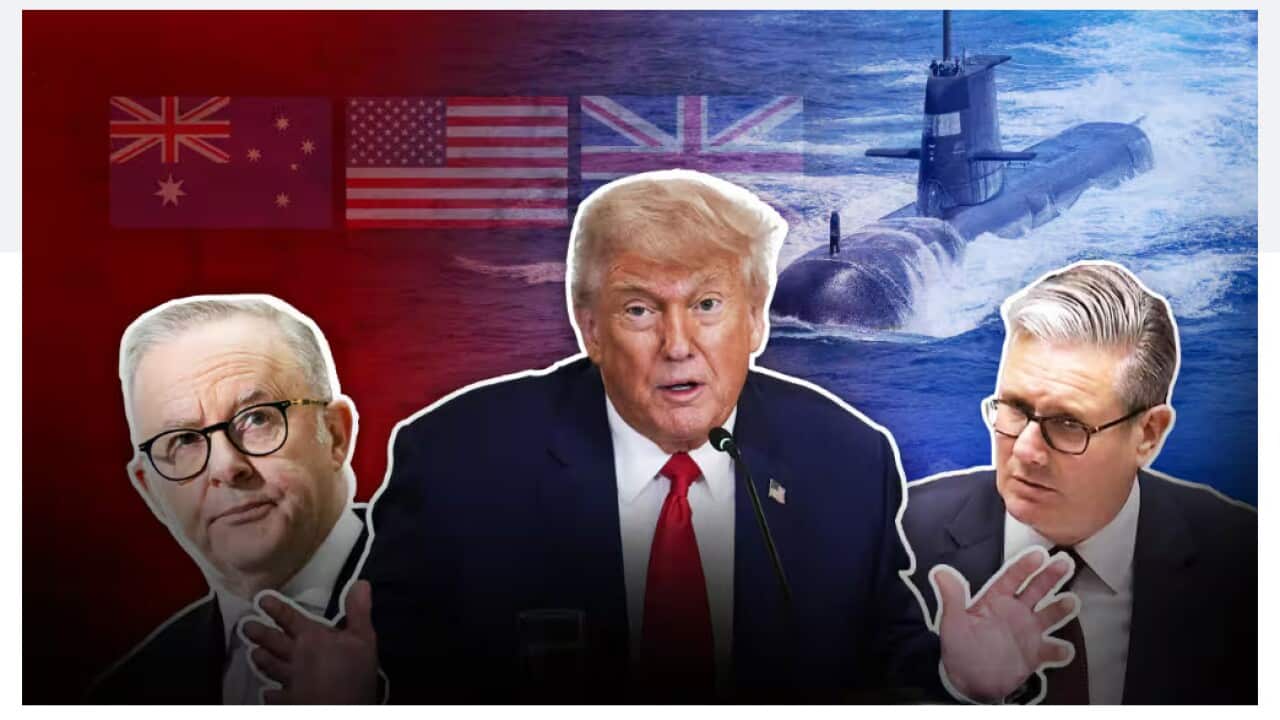 Aukus SBS News.jpg