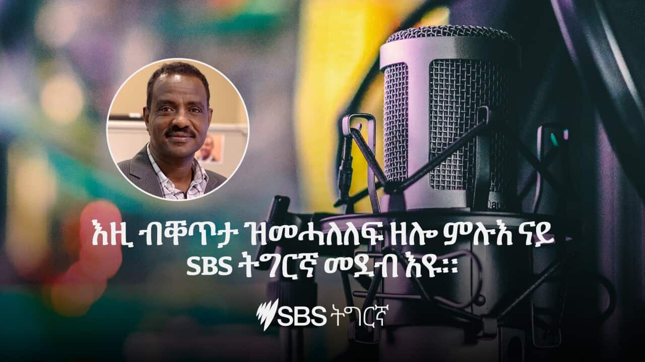 SBS Tigrinya Live Program Catch Up 1.jpg