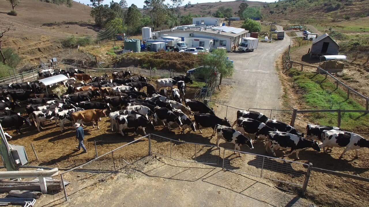 The Fairley family farm has lasted seven generations and counting.