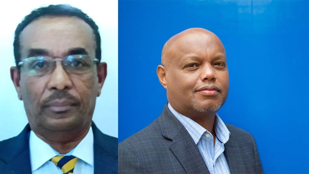 Alemu Yayne and Ermias Alemu