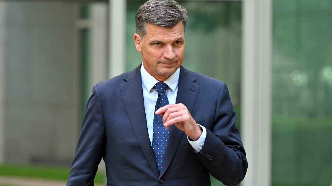 ANGUS TAYLOR RESIGNATION