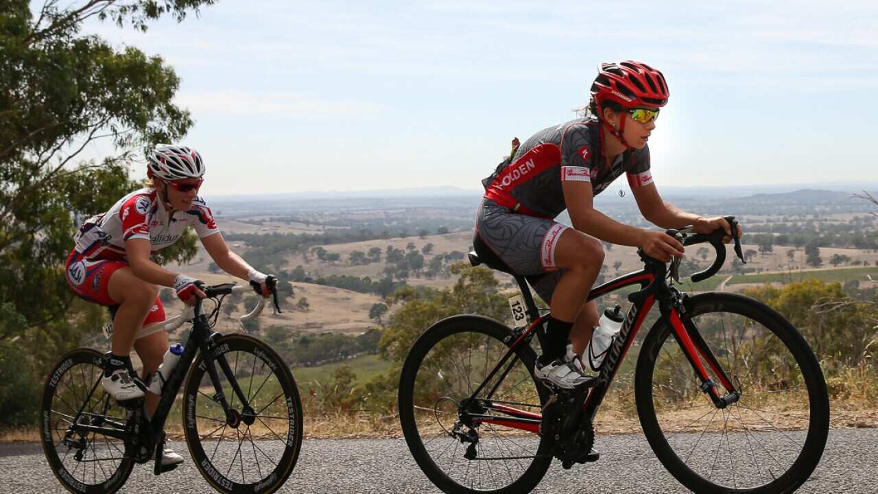 Shannon Malseed, Specialized