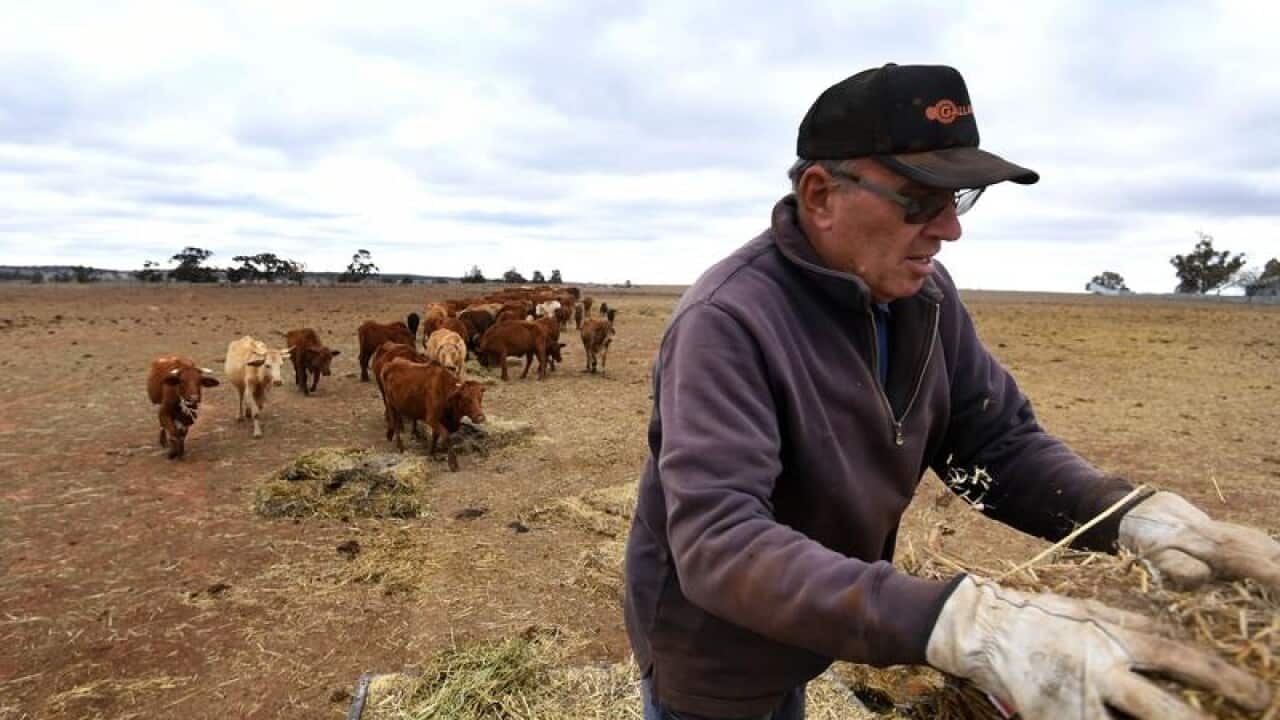 Wayne Dunford on his farm in Parkes, NSW