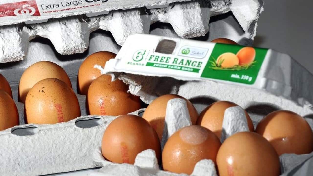 A file stock image of eggs inside cartons in Canberra.