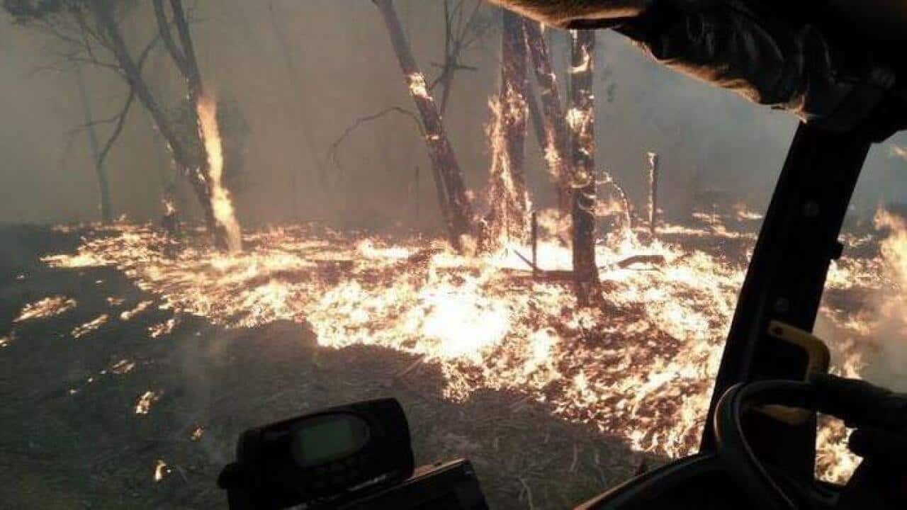 Climate Change and Bushfire