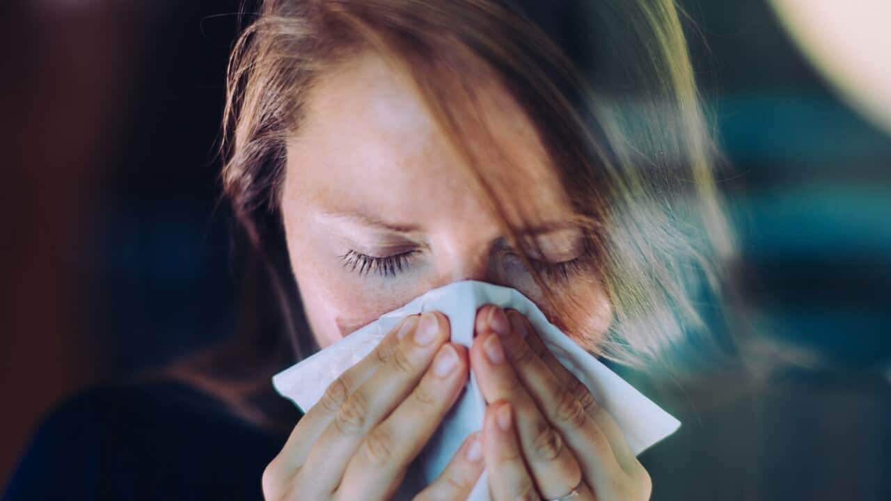 The flu season has got off to a severe start. 