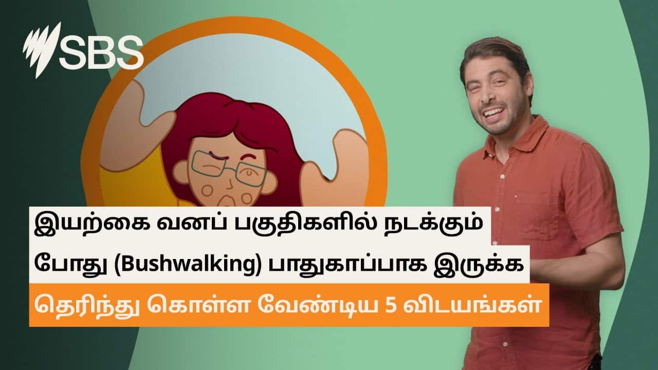 Image for read more article 'READ MORE'