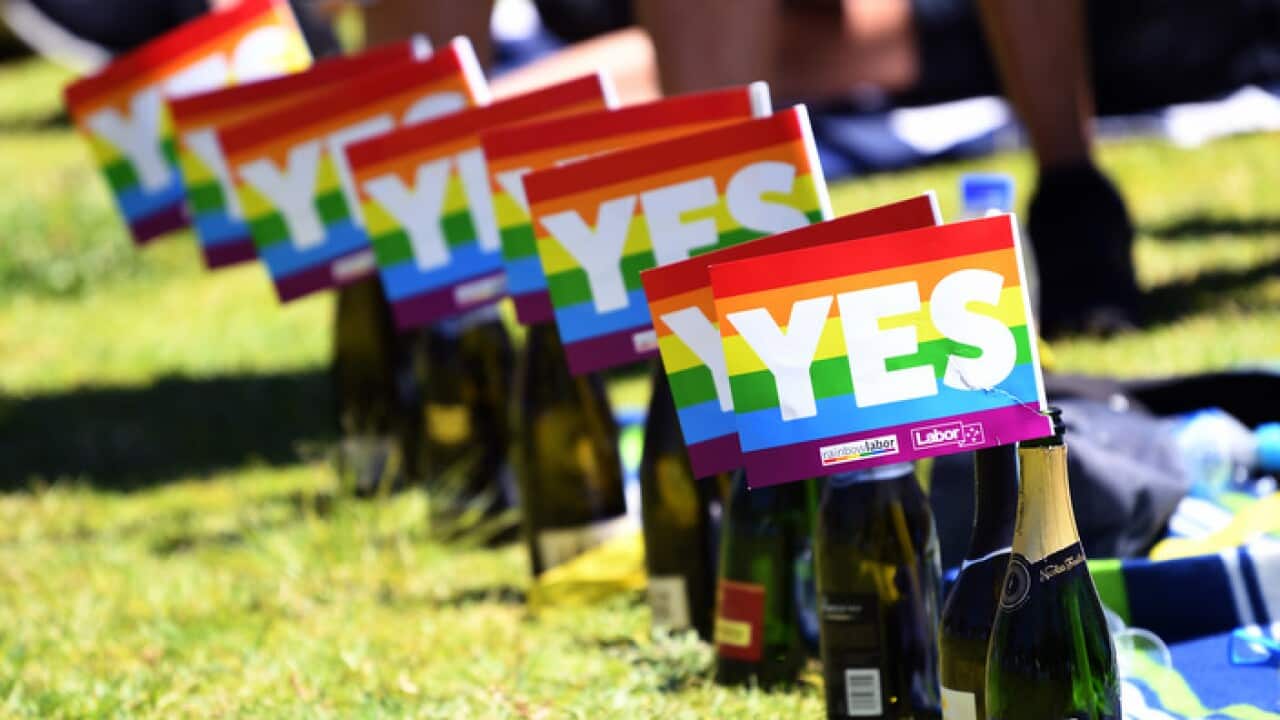 Empty bottles of champagne sit with rainbow Yes flags in them after the marriage vote result announcement during a picnic held by the Equality Campaign at Prince Alfred Park in Sydney, Wednesday, November 15, 2017.