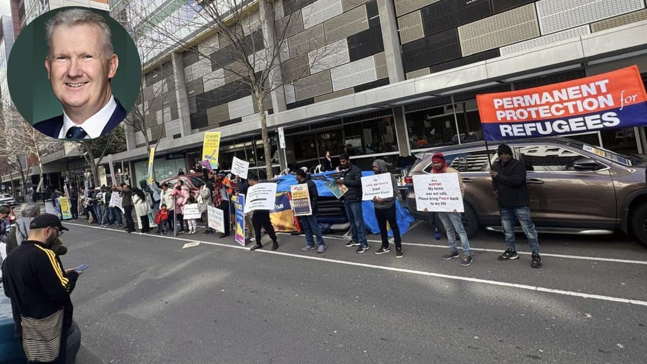 Refugee Protests Update.jpg