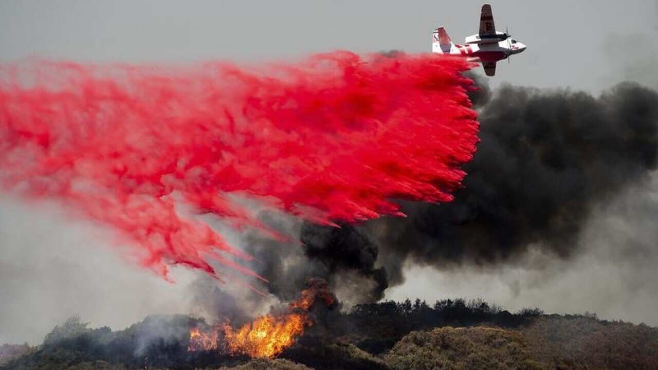 Image for read more article 'READ MORE'