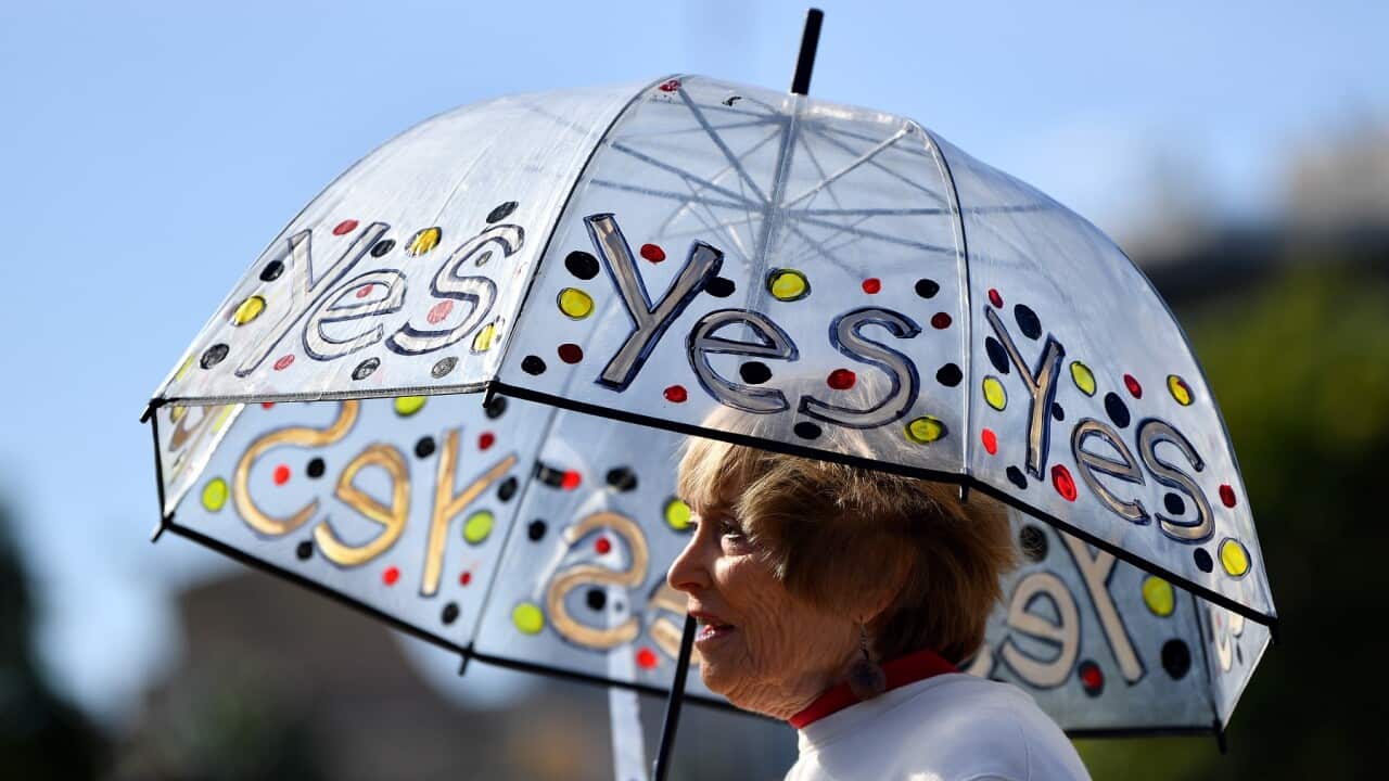 YES 23 VOICE CAMPAIGN SYDNEY