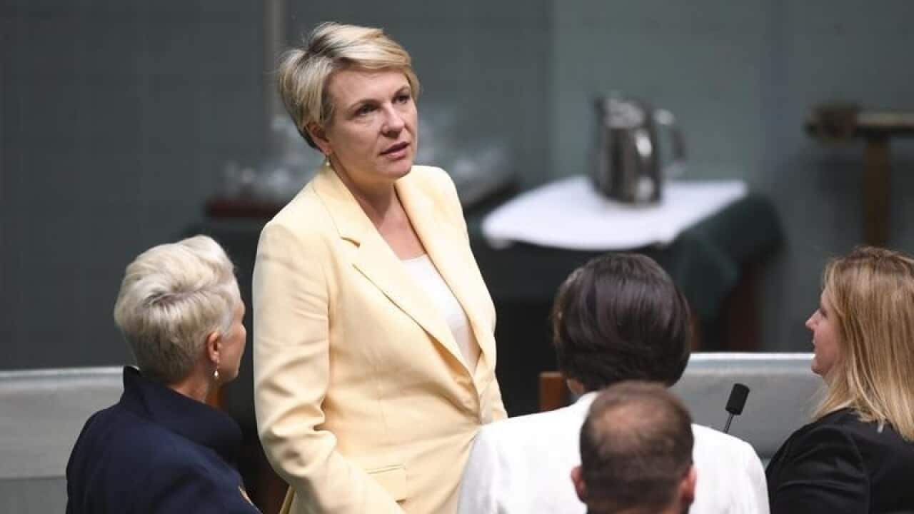 Australian deputy Opposition leader Tanya Plibersek