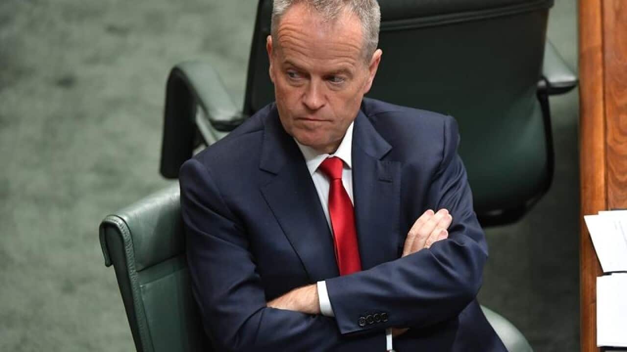Bill Shorten during Question Time