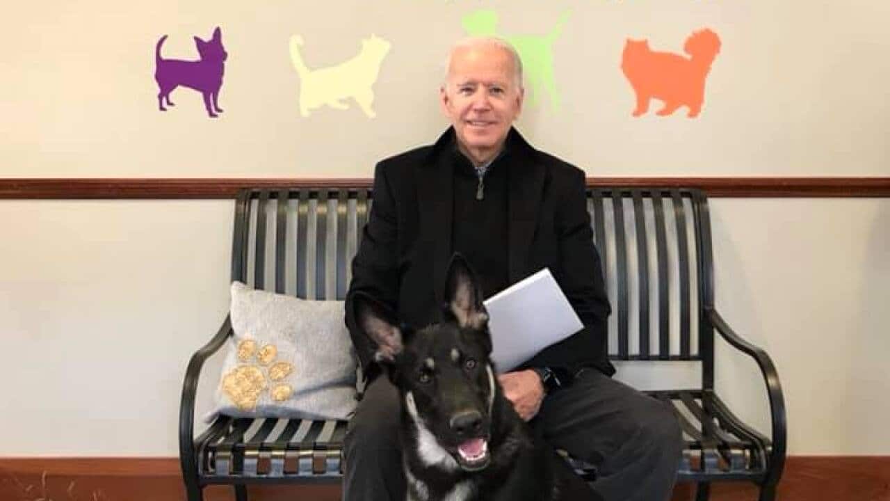 President-elect Joe Biden at the Delaware Humane Association.