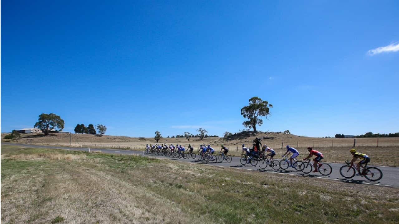 HSTpelotonSt1_640_Chronis_760386031