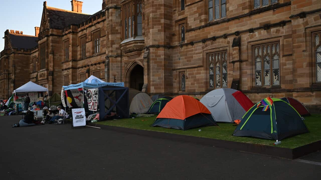 UNIVERSITY OF SYDNEY PROTEST