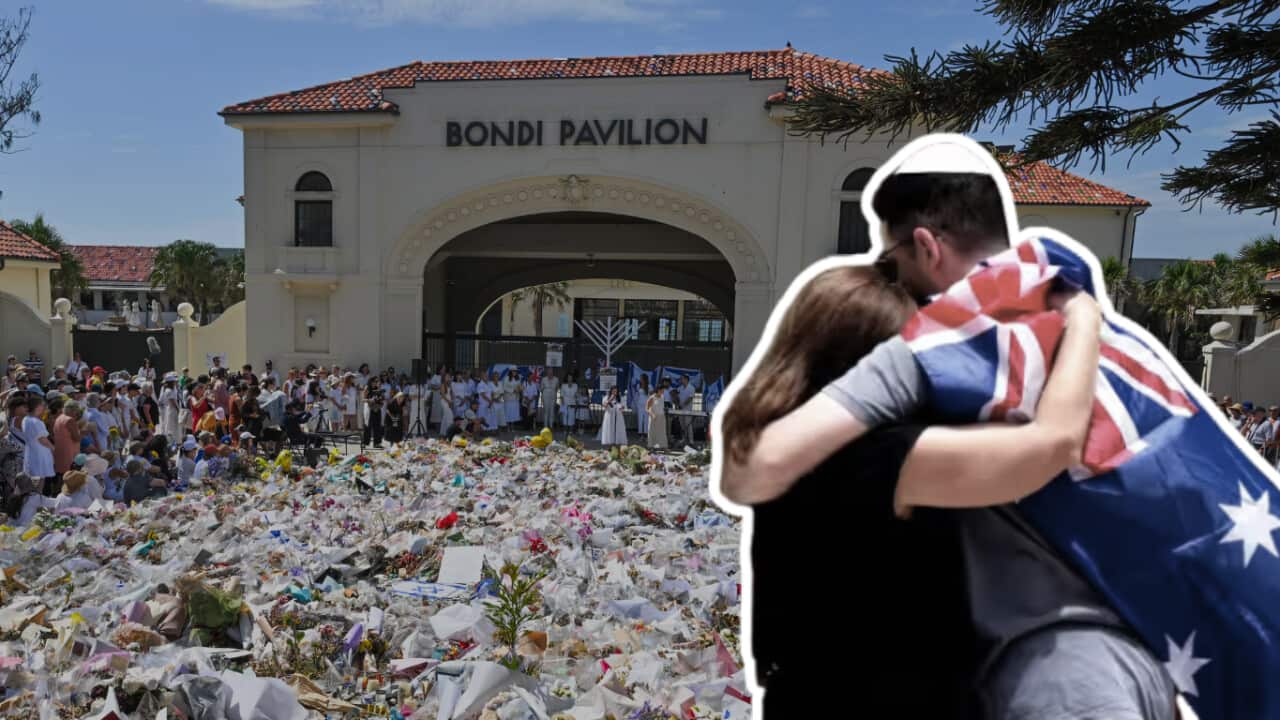 FOR PODCAST BONDI STATEMENT HEBREW 2.png