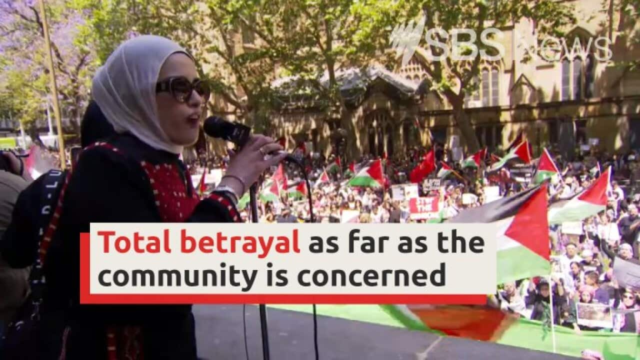 Labor is facing criticism and a potential voter backlash from members of the Arab and Muslim communities for comments they perceive as being one-sided over the Middle East conflict.