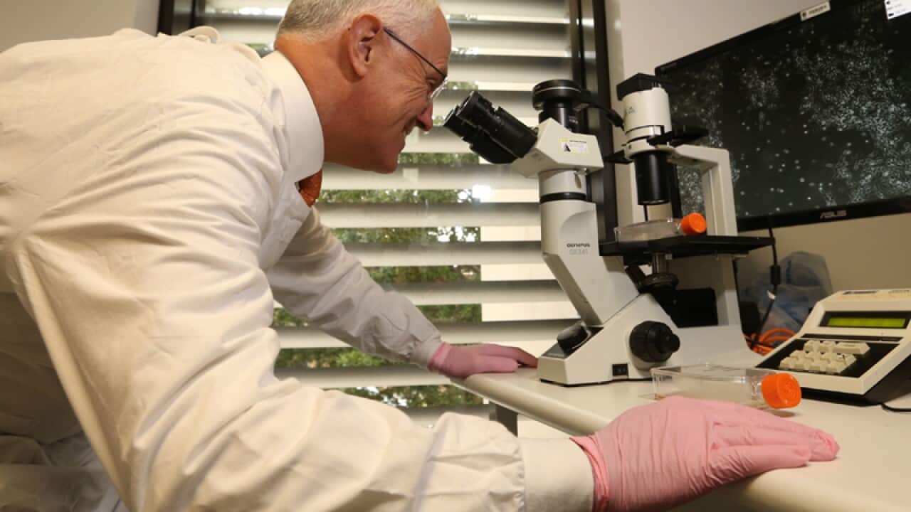 Prime Minister Malcolm Turnbull looks into a microscope